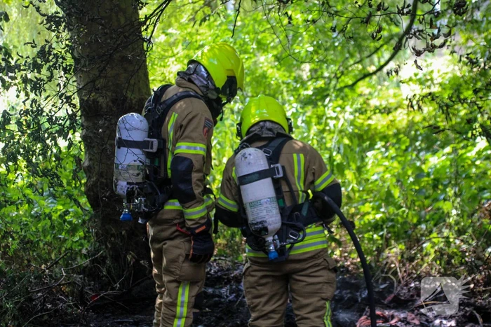 Brandweer blust brand in bosjes