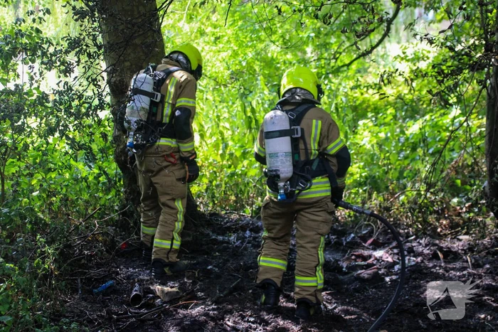 Brandweer blust brand in bosjes