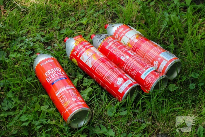 Brandweer blust brand in bosjes