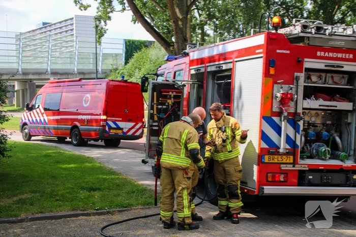 Brandweer blust brand in bosjes