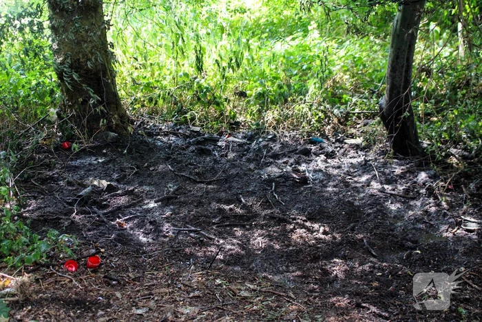 Brandweer blust brand in bosjes