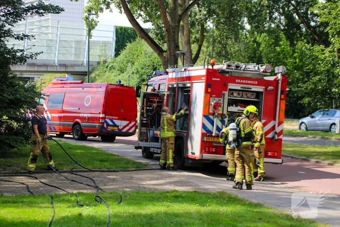 Brandweer blust brand in bosjes