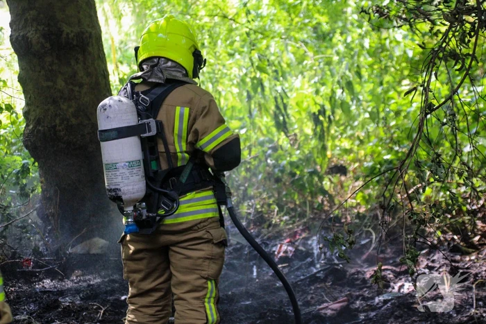 Brandweer blust brand in bosjes