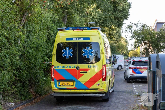 Verdachten gezocht na mishandeling