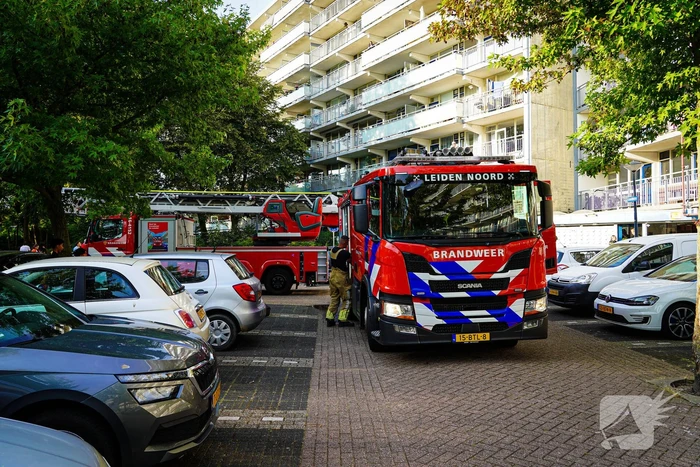 Veel rookontwikkeling door pan op het vuur
