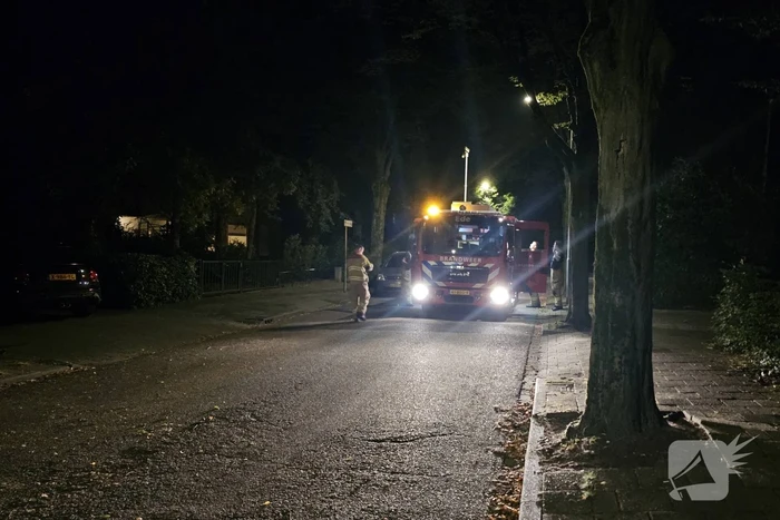 Boom valt tussen twee geparkeerde auto's