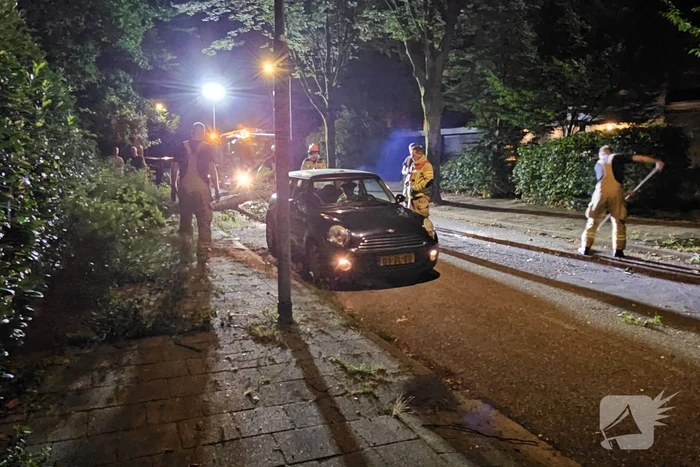 Boom valt tussen twee geparkeerde auto's