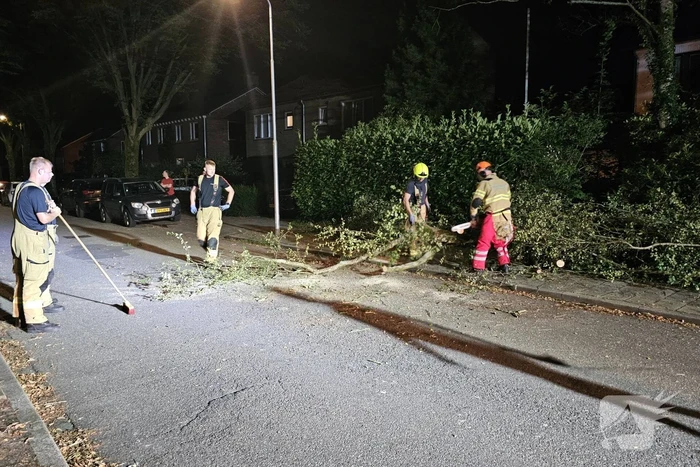 Boom valt tussen twee geparkeerde auto's