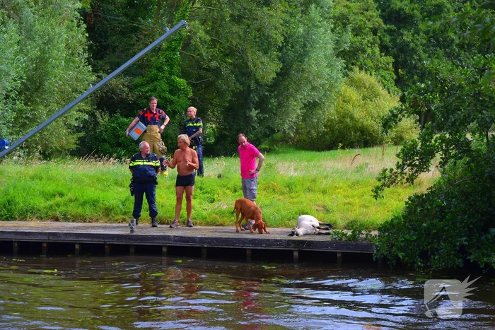 nieuws staniastate leeuwarden