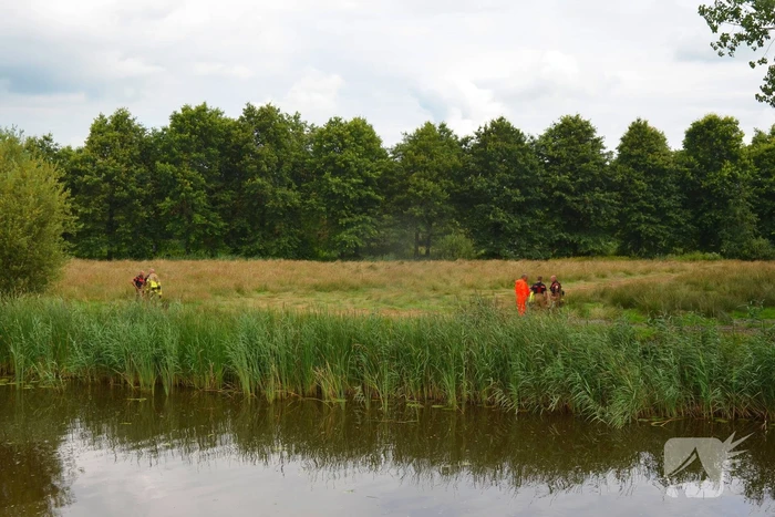 Brandweer haalt te water geraakte schapen uit het water