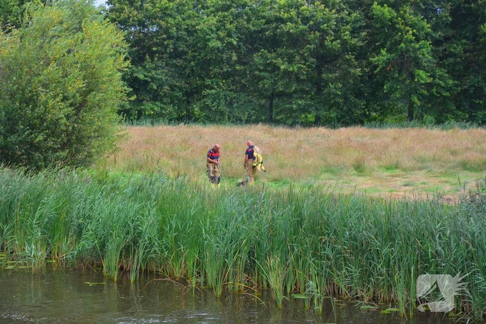 Brandweer haalt te water geraakte schapen uit het water