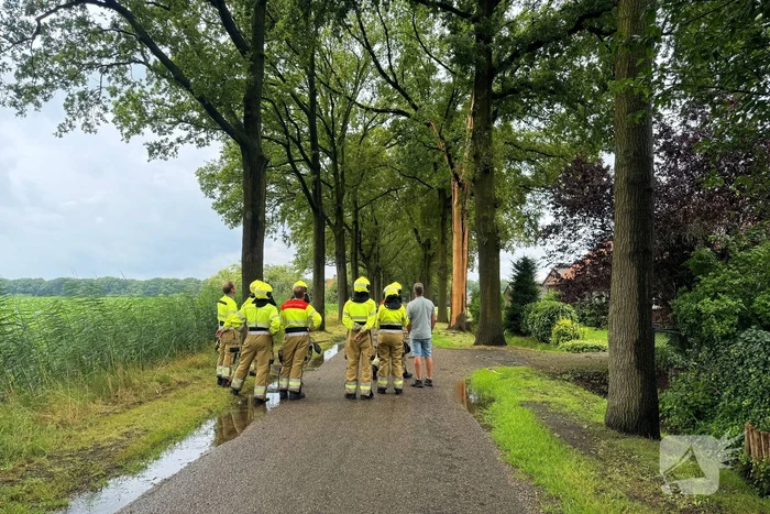 Brandweer ingezet voor stormschade