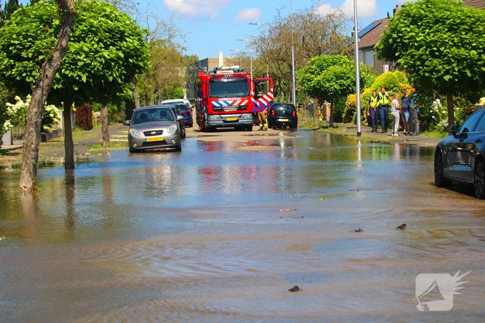 Veel wateroverlast door gesprongen waterleiding