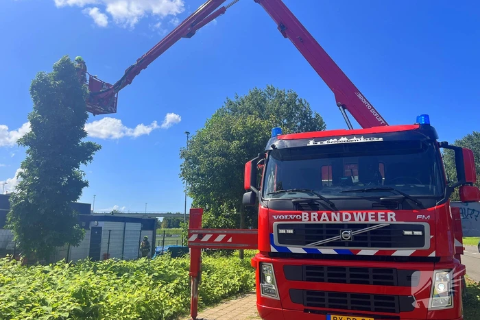 Dak van clubgebouw voetbalvereniging vat vlam