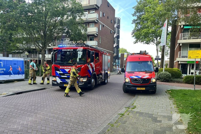Hulpdiensten starten zoektocht in water naar vermist meisje