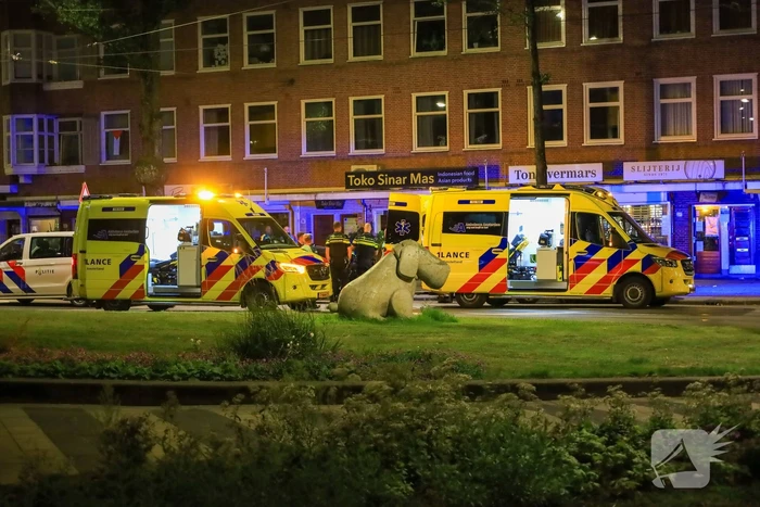 Dode en aanhouding bij steekpartij