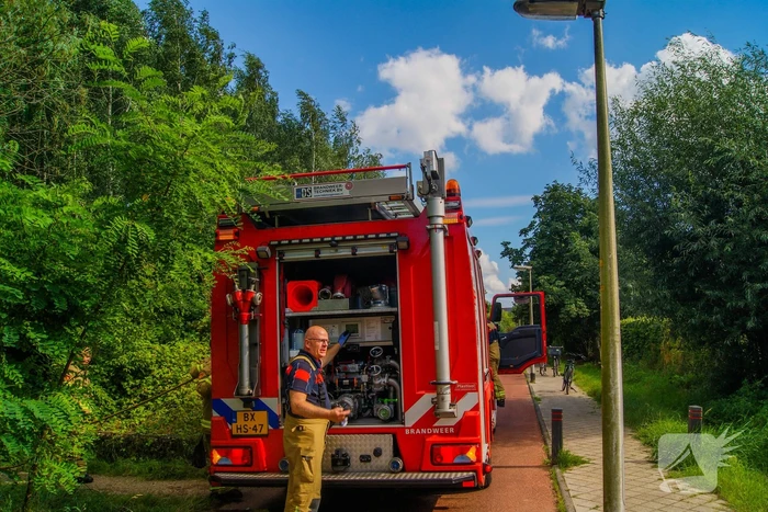 Brand in bosschage snel onder controle
