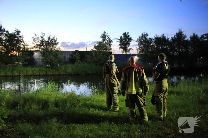 Brandweer redt ree uit zuid willemsvaart