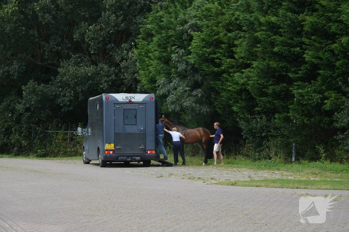 Verkeershinder na gekantelde paardentrailer