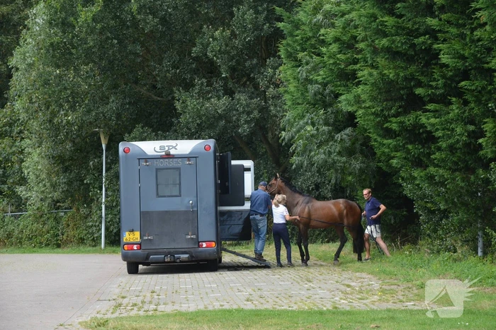 Verkeershinder na gekantelde paardentrailer