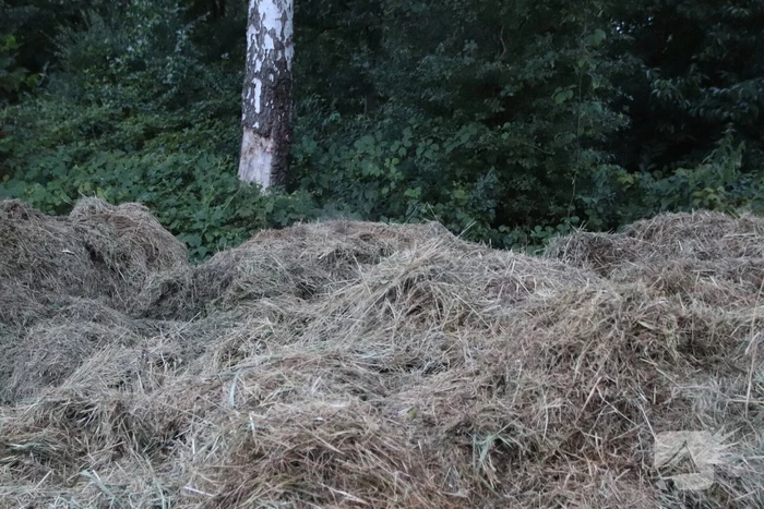 Brandweer ingezet voor broeiende stapel hooi