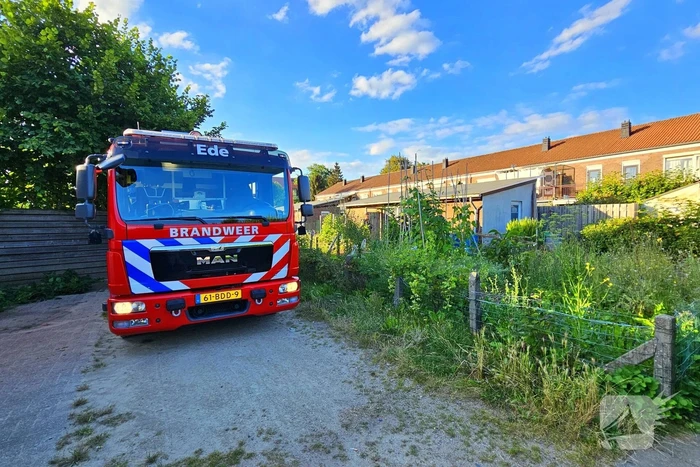 brand ganzeweide ede