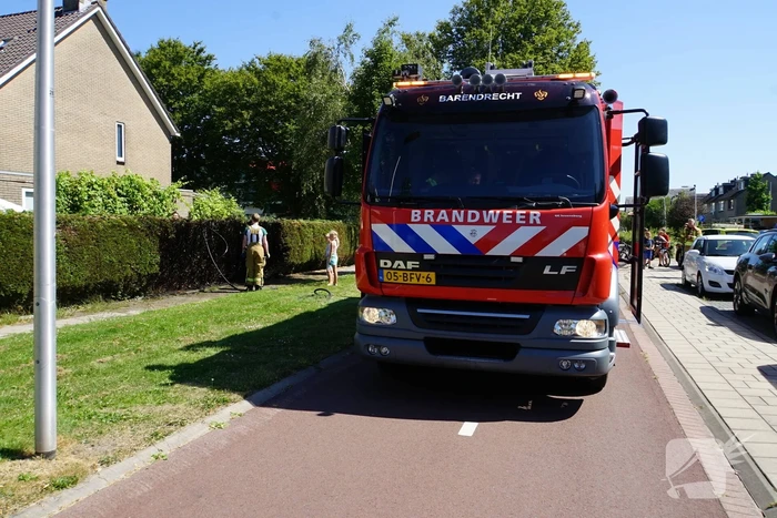 Kinderen blussen met brandweer brandende coniferenhaag