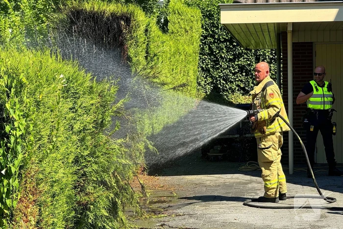 Coniferenhaag bij woning in brand