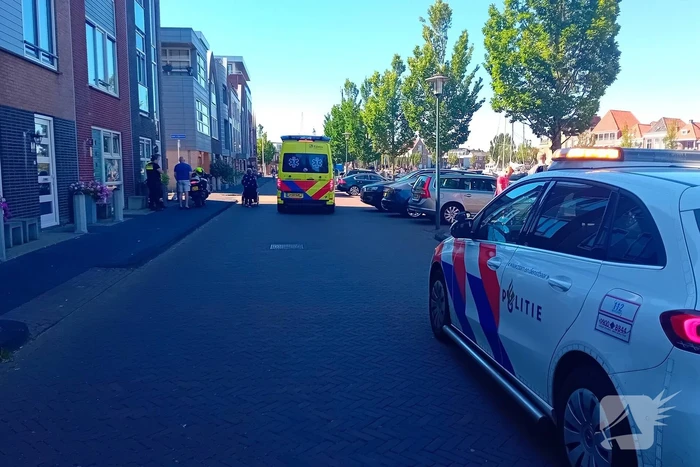 Persoon valt met hond tijdens oversteken