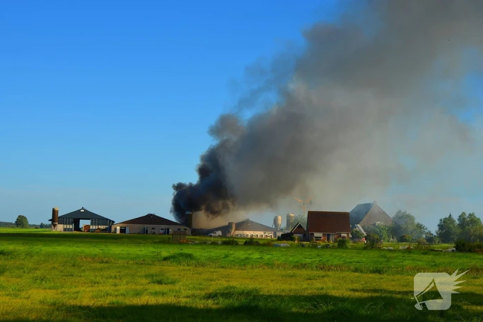 brand narderbuorren wergea