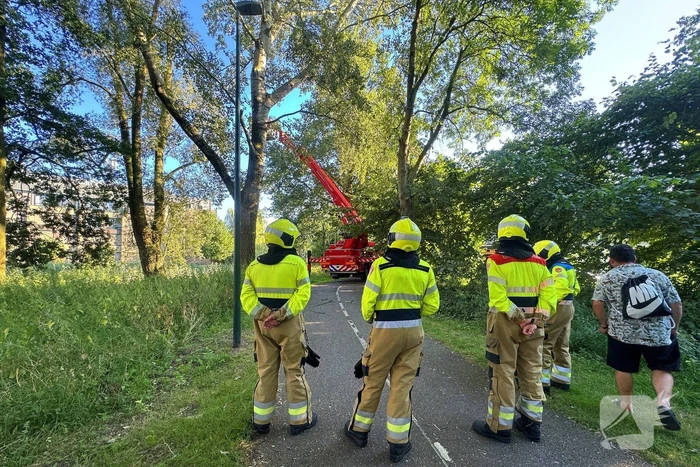 natuur donauring veghel