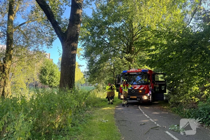 Brandweer ingezet voor dreigend hangende tak
