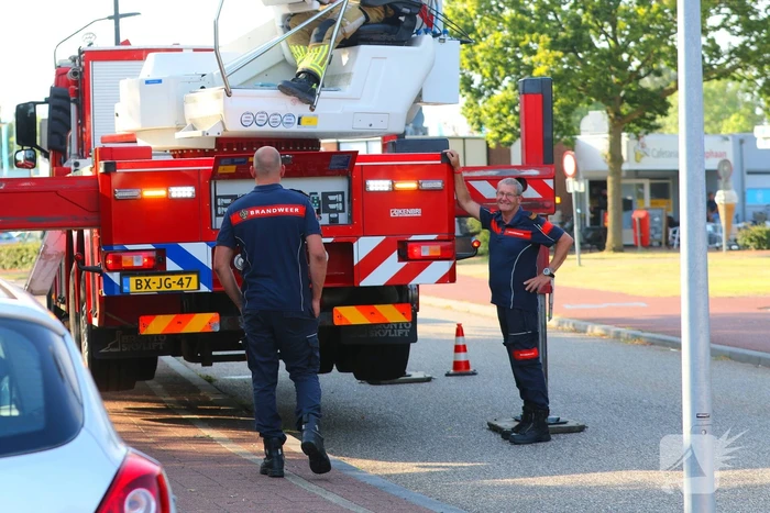 Brandweer weet kat van dak te halen