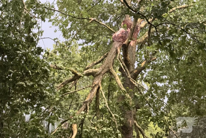 Brandweer druk met stormschade