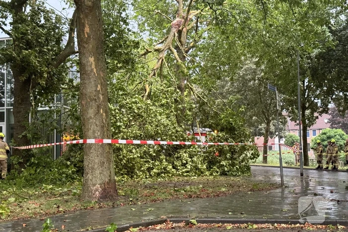 Brandweer druk met stormschade