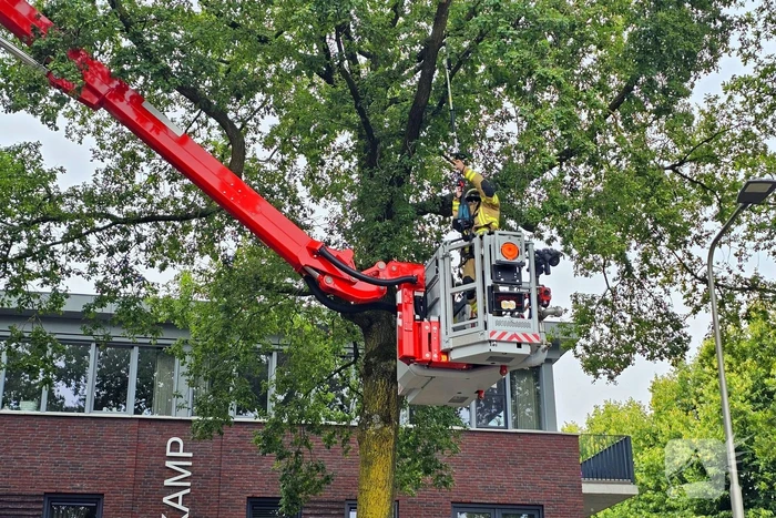 Brandweer verwijdert gevaarlijk hangende tak