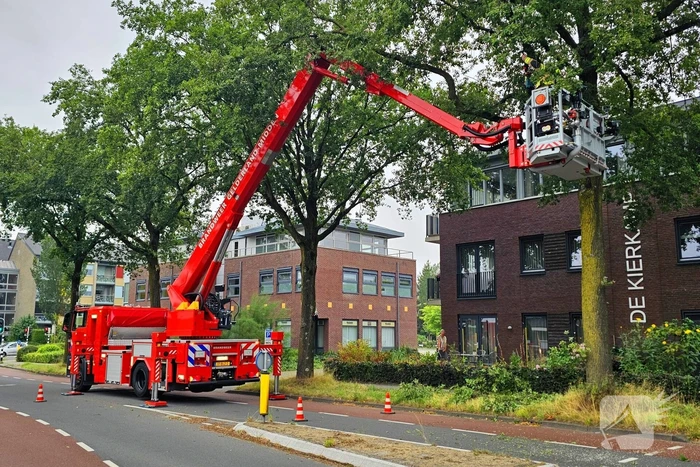 Brandweer verwijdert gevaarlijk hangende tak