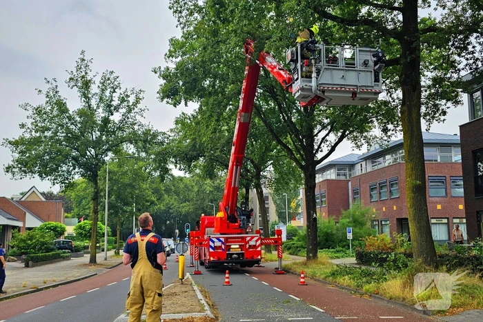 Brandweer verwijdert gevaarlijk hangende tak