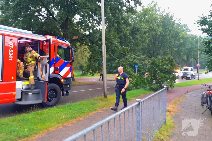 natuur van remagenlaan arnhem