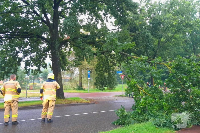 Afgebroken tak verspert wegdek