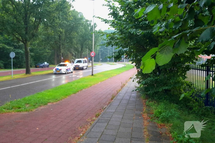 Afgebroken tak verspert wegdek