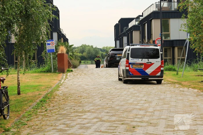 nieuws edmond halleysteiger amsterdam