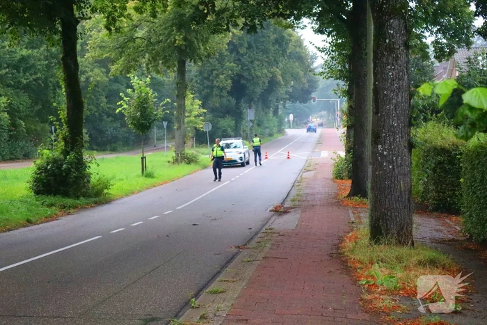 Afgebroken tak verspert wegdek