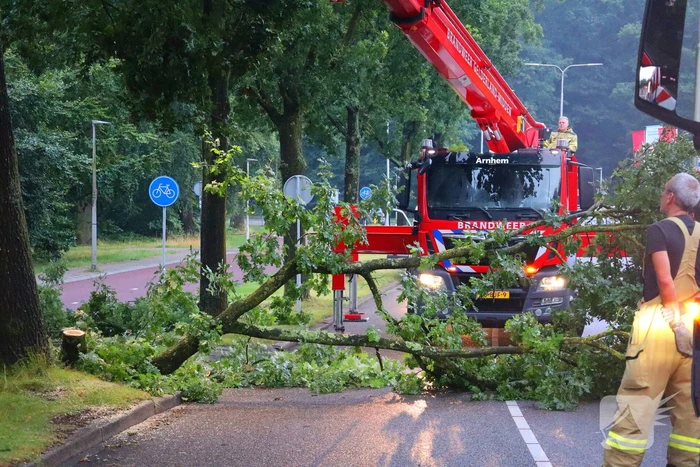 Afgebroken tak verspert wegdek