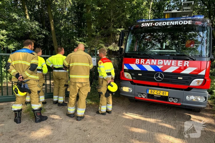 Bosbrand snel onder controle