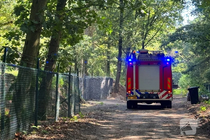 Bosbrand snel onder controle