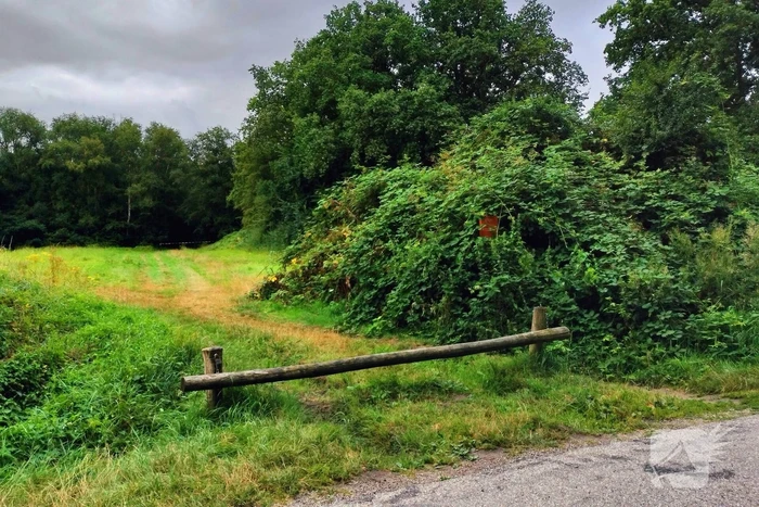 Bos afgesloten tijdens politieonderzoek
