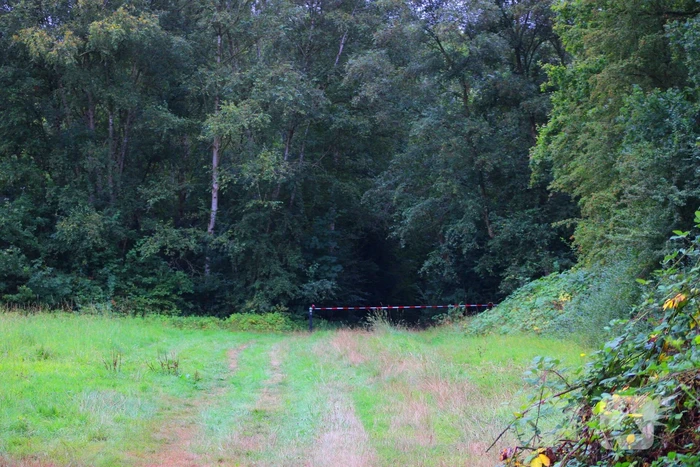 Bos afgesloten tijdens politieonderzoek