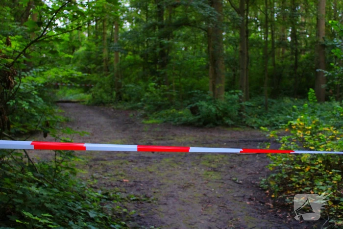 Bos afgesloten tijdens politieonderzoek