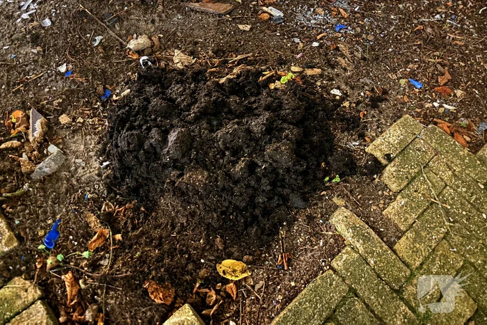 Brandweer ingezet voor smeulende bloembak